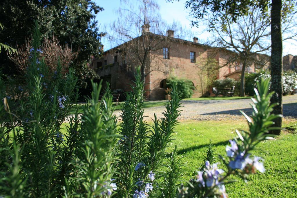 Agriturismo Poggio Salvi Sovicille Extérieur photo